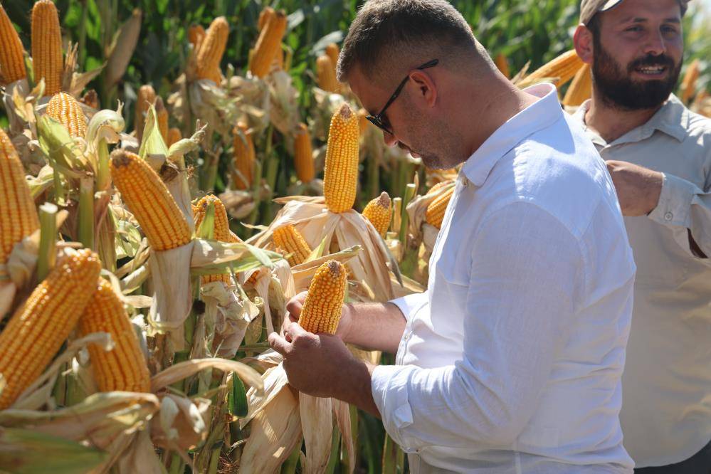 Konya’da son dönemde üretimi eleştiriliyordu! Yeni hibrit çeşitleri tanıtıldı 4